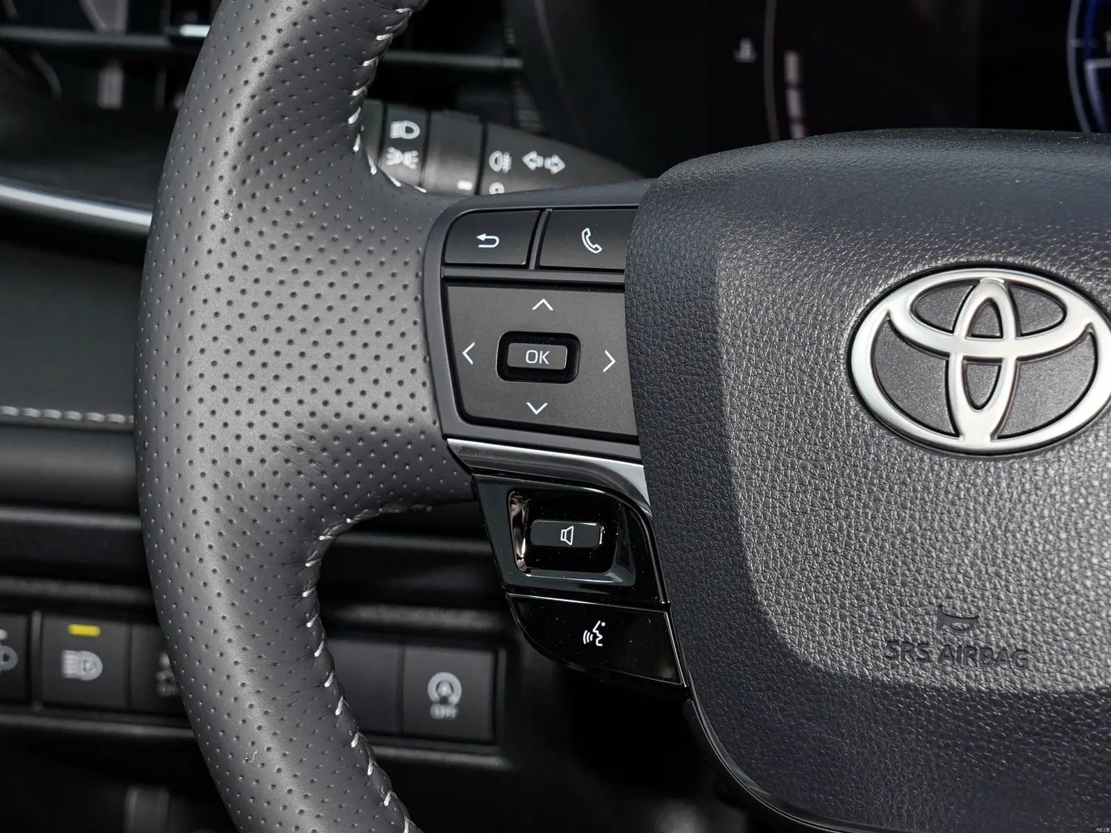CAMRY PETROL LUXURY6.webp