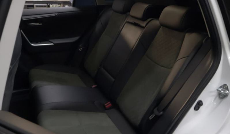 Toyota Rav4 Adventure lleno