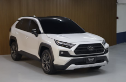 Toyota Rav4 Adventure lleno