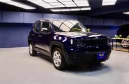 Jeep Renegade 2024 lleno