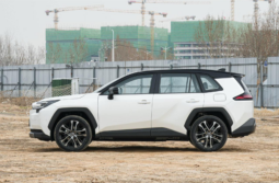 Toyota RAV4 Hybrid Flagship 2025 lleno