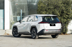Toyota RAV4 Petrol Luxury 2025 lleno