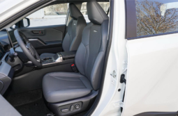 Toyota RAV4 Petrol Luxury 2025 lleno