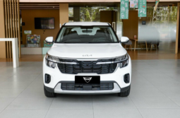 Kia Seltos Luxury 2025 lleno