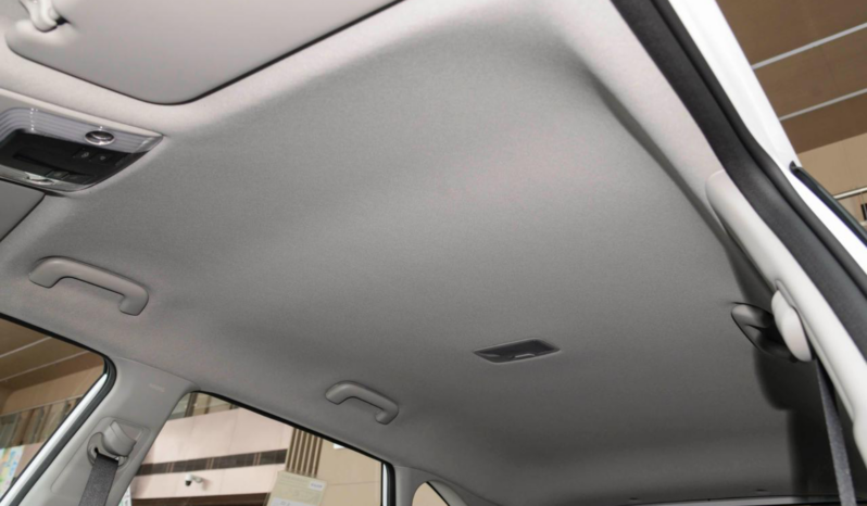 Kia Seltos Luxury 2025 lleno